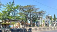 IMG-20260720-WA0016