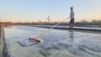 VID-20260707-WA0023(3)