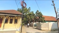 IMG-20260908-WA0012